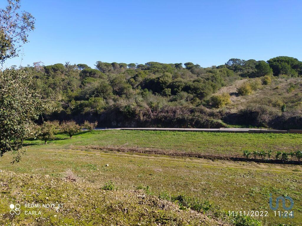 Additional image 3 of Leiria, Alcobaça, Portugal