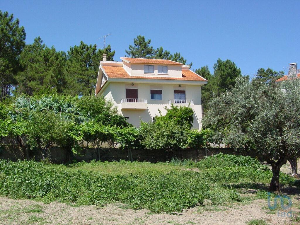Primary image of Beira Baixa, Cernache do Bonjardim, Portugal