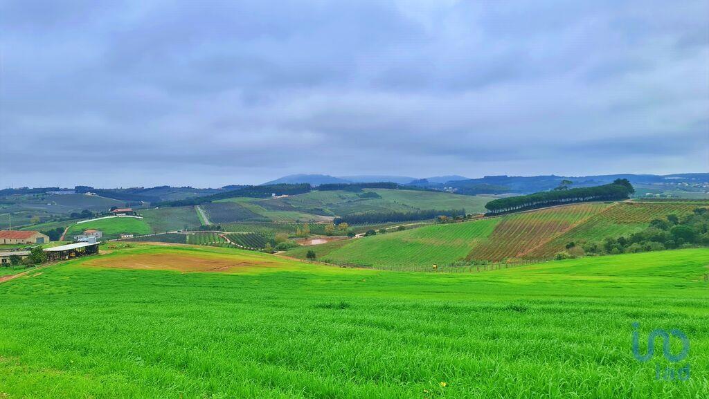 Additional image 3 of Lisbon, Cadaval, Portugal