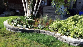 Additional image 4 of 521 Broadway Ave