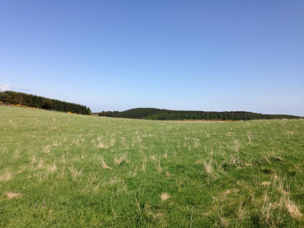 Additional image 9 of Backhill Of Drumblair, Forgue, Huntly, Aberdeenshire, AB54