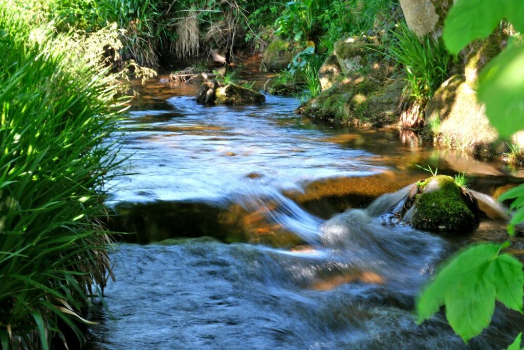 Additional image 22 of (Lot 1) Newmill, Lumsden, AB54 4LB