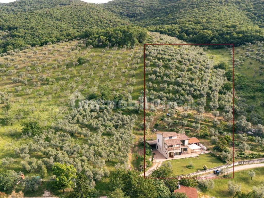 Additional image 3 of Località Pecorini, Toffia