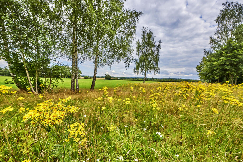 Additional image 6 of Little Night Leys Court, Pegrum Drive, London Colney, St. Albans, AL2