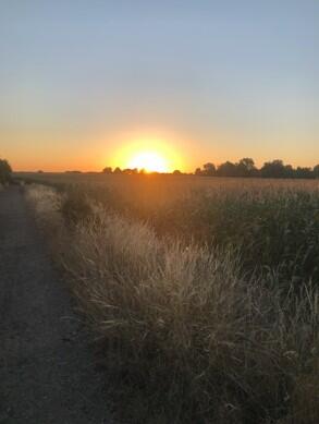 Additional image 23 of South Farm Cottages, Napsbury, St Albans, AL2