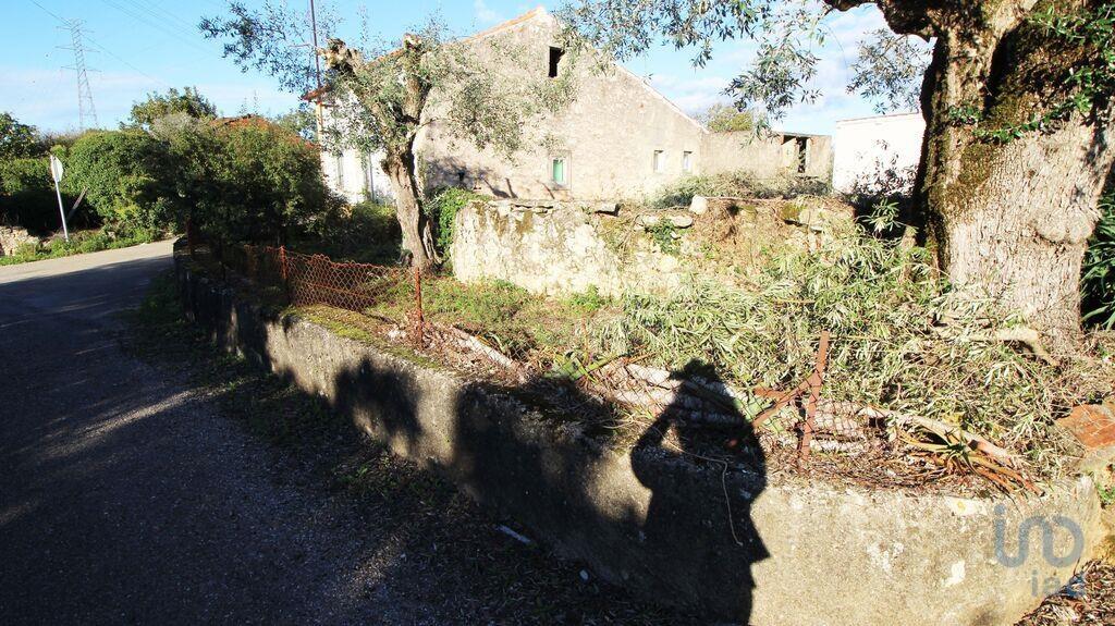 Additional image 2 of Ribatejo, Areias, Portugal