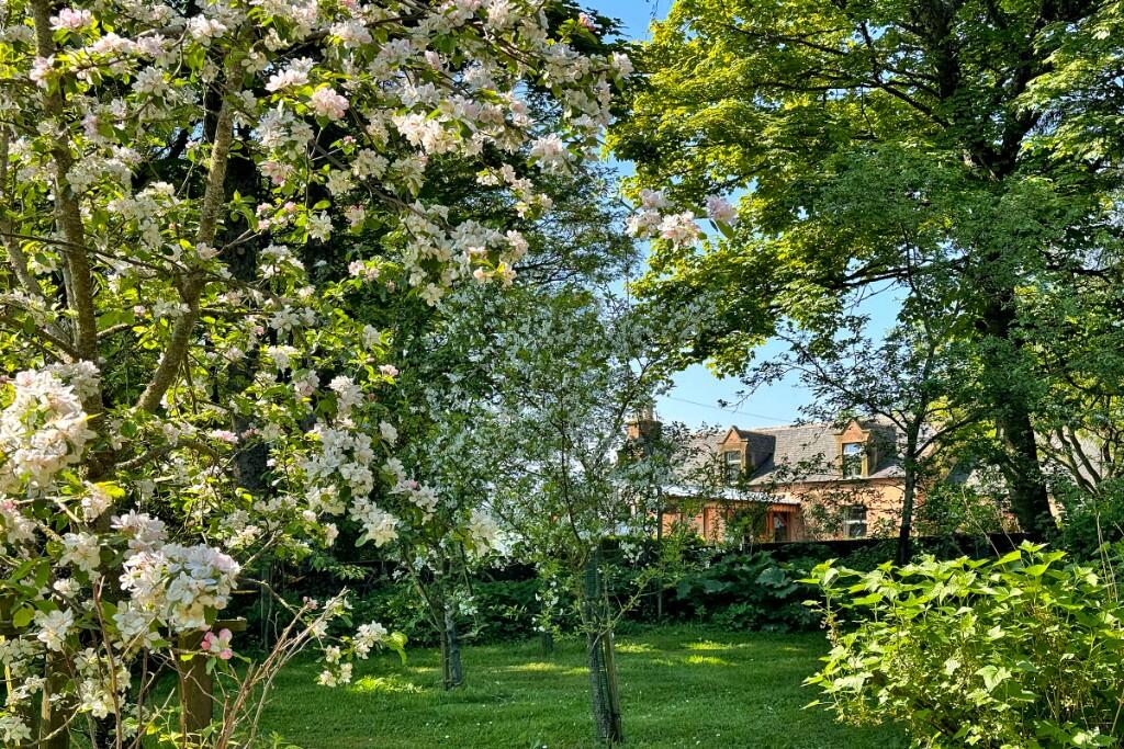 Additional image 20 of (Lot 1) Newmill, Lumsden, AB54 4LB