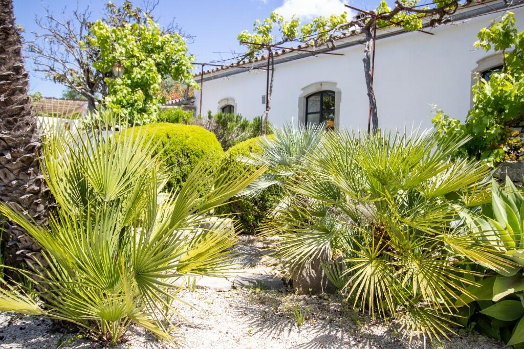 Additional image 2 of São Brás de Alportel, Algarve, Portugal