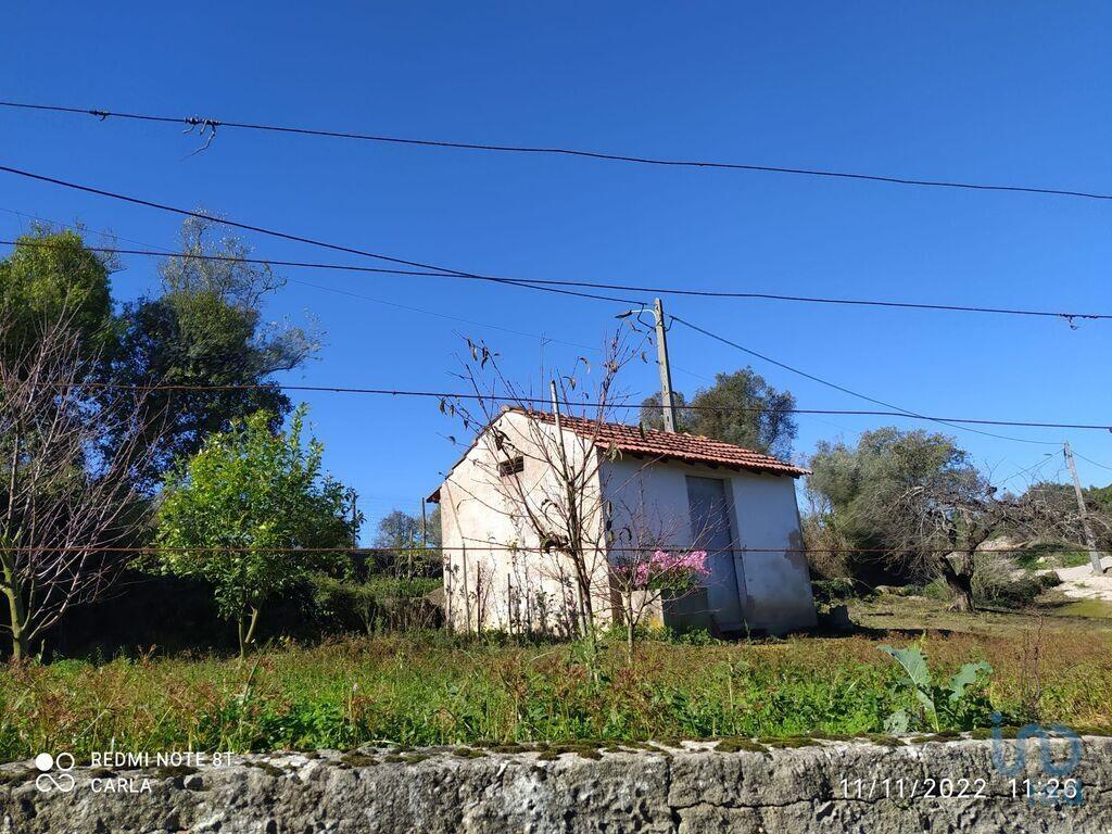 Primary image of Leiria, Alcobaça, Portugal