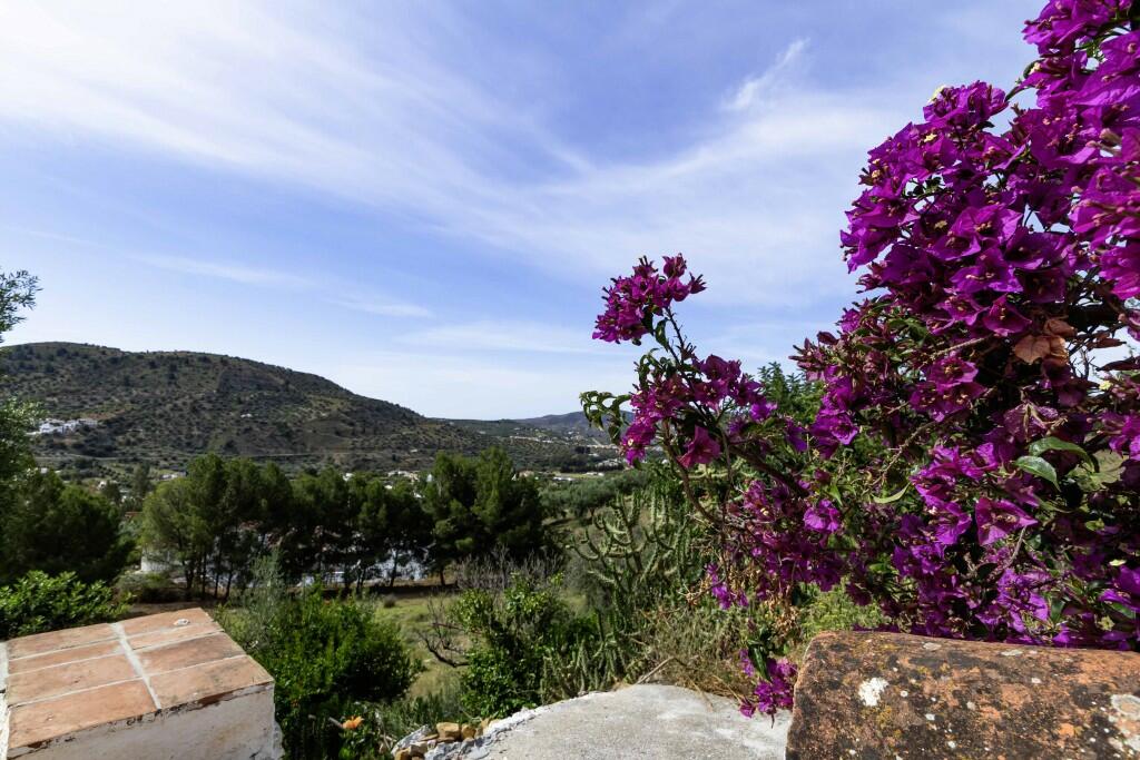 Primary image of Andalucia, Malaga, Alcaucín, Spain