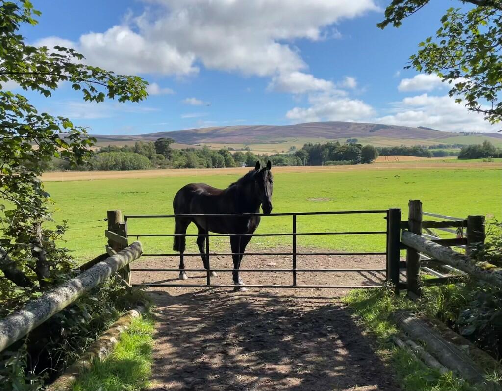 Additional image 35 of (Lot 1) Newmill, Lumsden, AB54 4LB