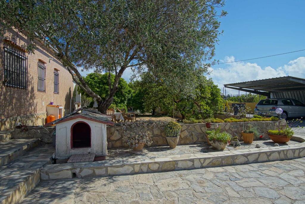 Primary image of Valencia, Valencia, Oliva, Spain