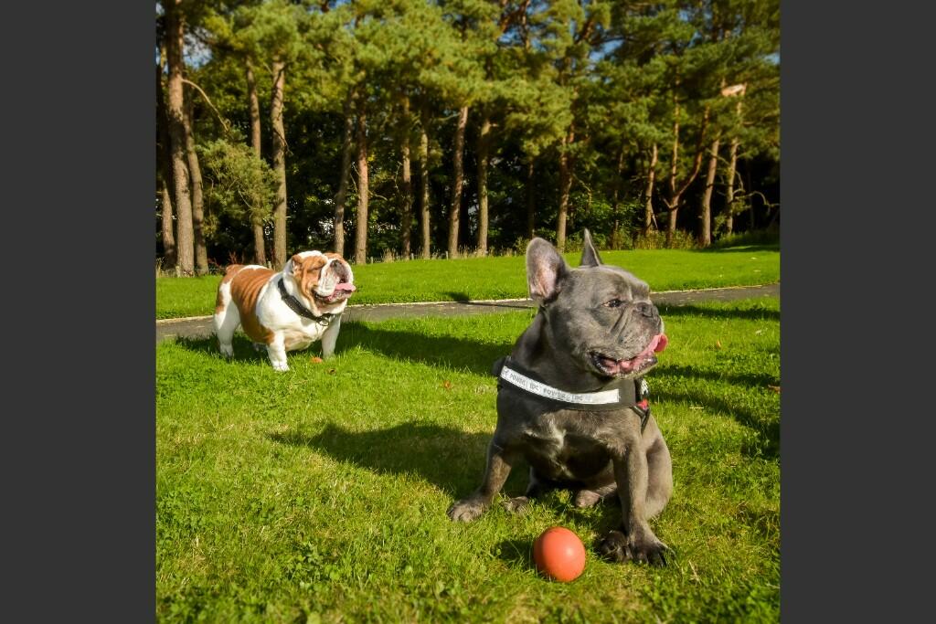 Additional image 10 of Stoneywood Brae, Aberdeen, Aberdeenshire, AB21