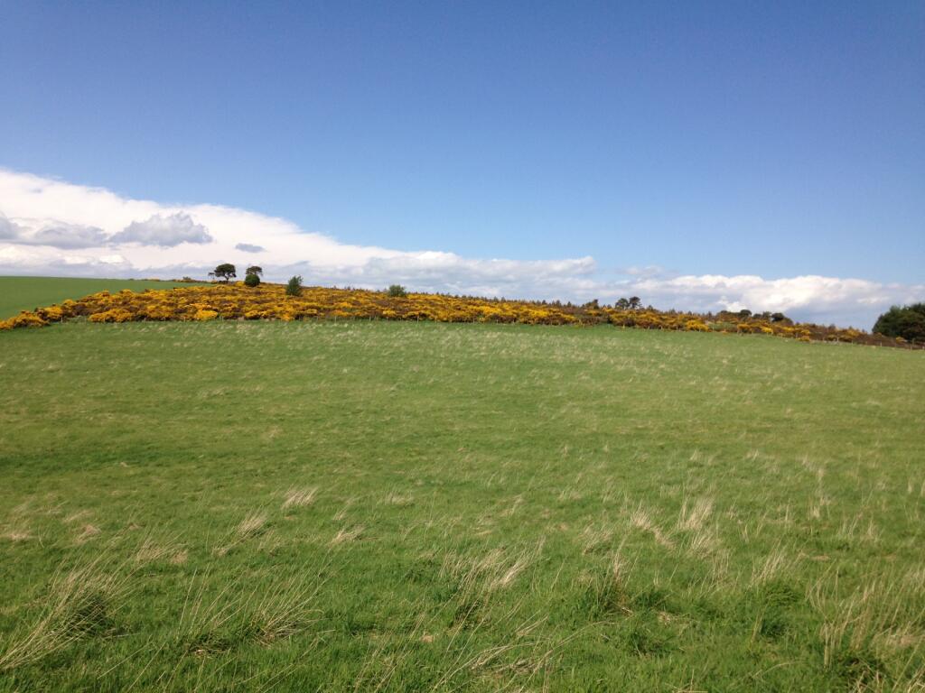 Additional image 10 of Backhill Of Drumblair, Forgue, Huntly, Aberdeenshire, AB54
