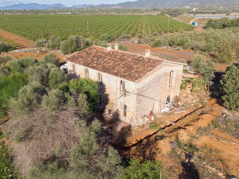 Additional image 2 of Balearic Islands, Mallorca, Consell, Spain