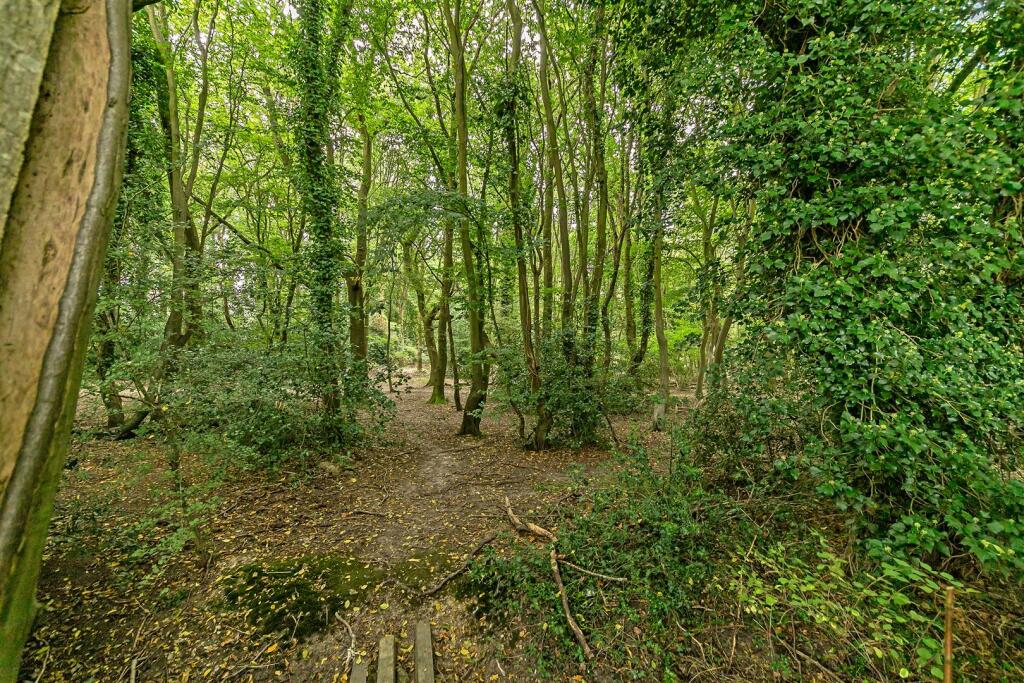 Additional image 24 of Bucknalls Drive, Bricket Wood, St. Albans