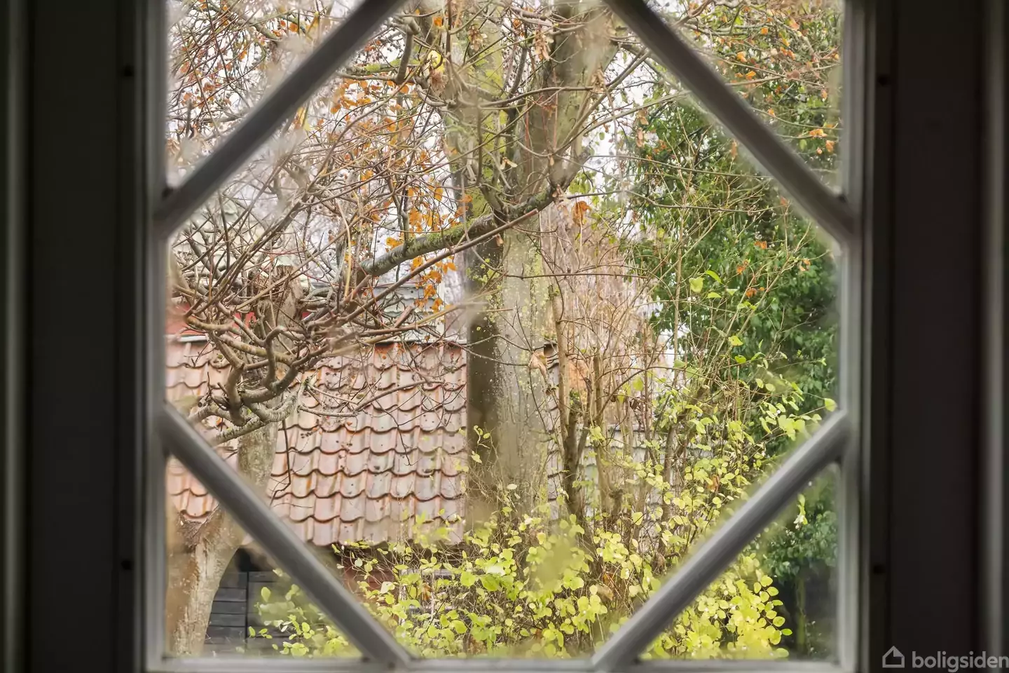 Additional image 3 of Jungshovedvej 72, 4720 Præstø