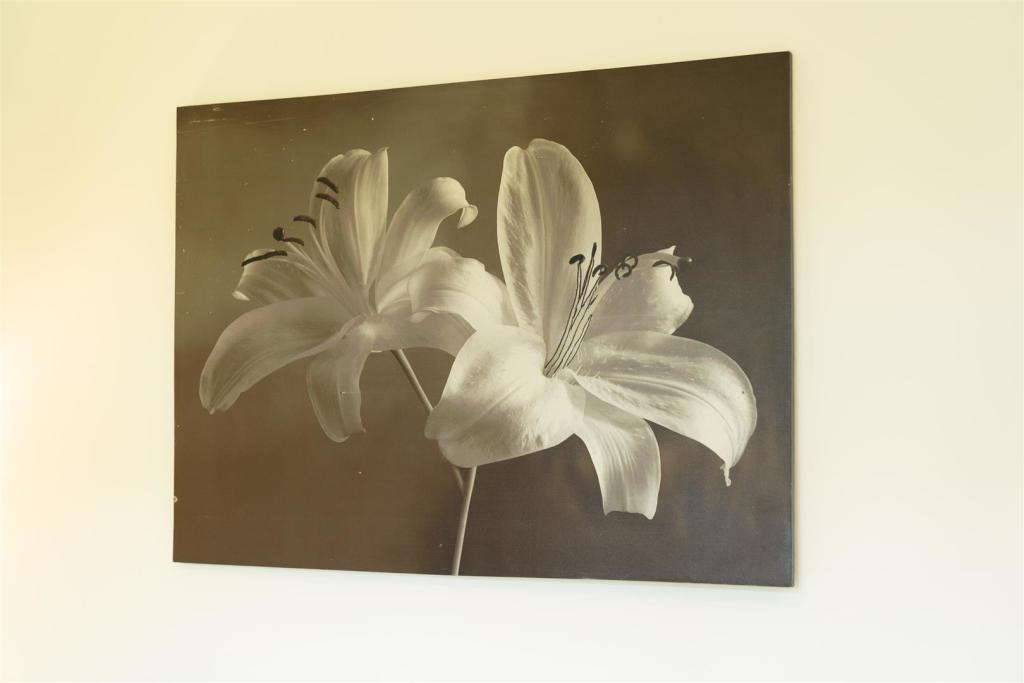 Additional image 24 of 7 School Road, Moseley, Birmingham