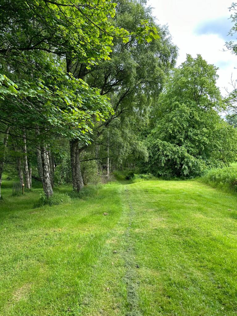 Additional image 45 of Rhynie, Druminnor, AB54