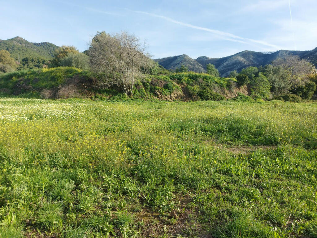 Primary image of Andalucia, Malaga, Mijas, Spain