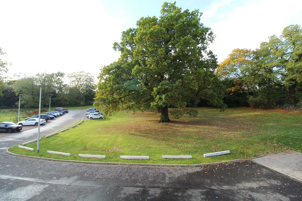 Additional image 8 of May Baird Gardens, First Floor, AB25