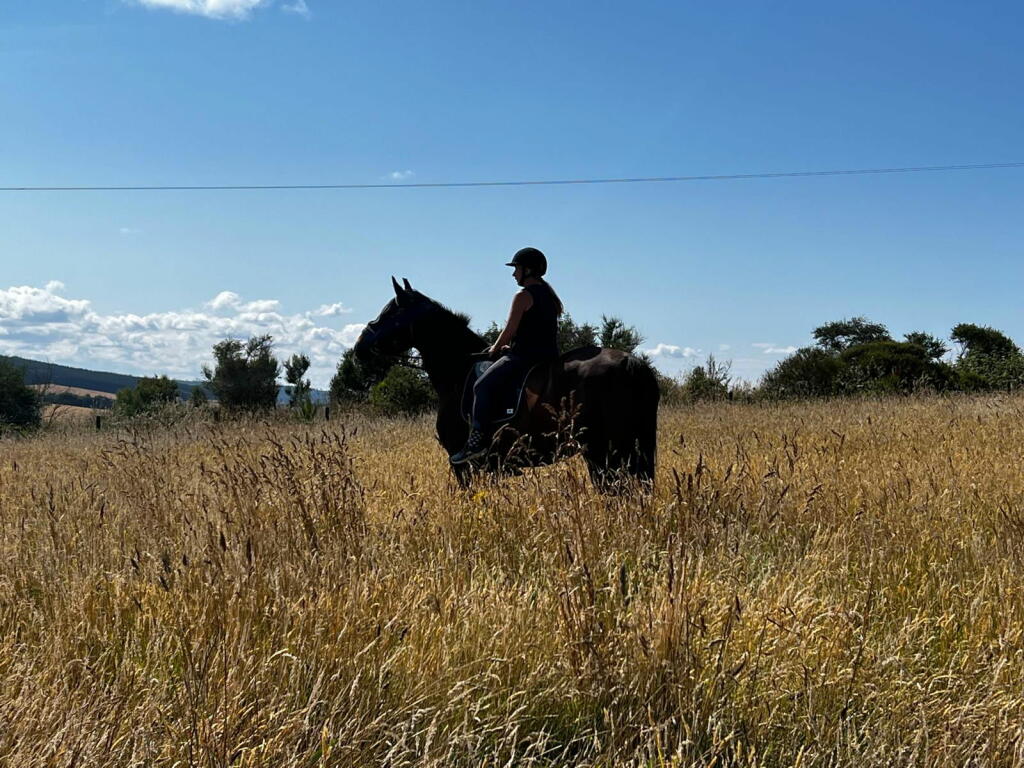 Additional image 26 of Drybridge, Buckie, AB56 5JD