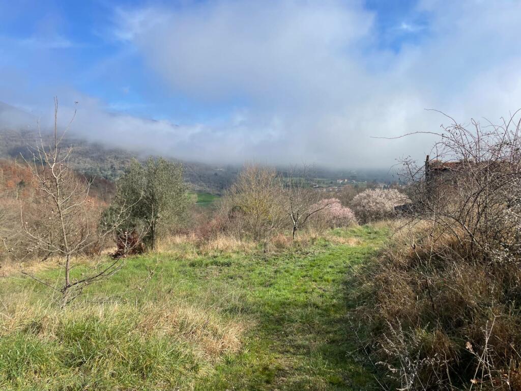 Additional image 3 of Umbria, Perugia, Lisciano Niccone, Italy