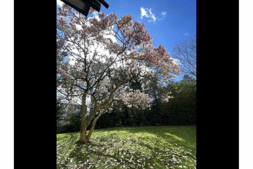 Additional image 13 of Wake Green Park, Birmingham, B13