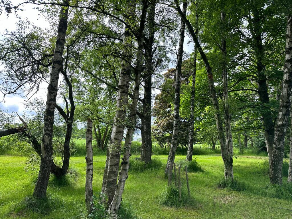 Additional image 46 of Rhynie, Druminnor, AB54