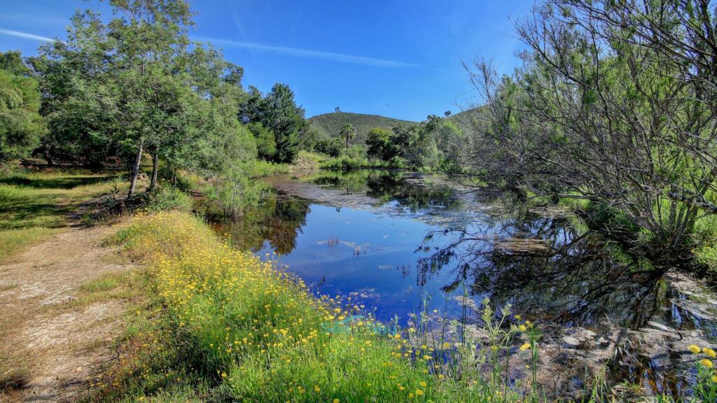 Additional image 3 of Algarve, Mexilhoeira Grande, Portugal