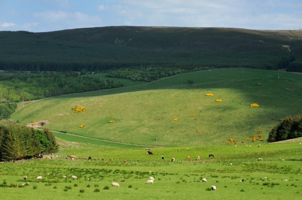 Additional image 9 of Glass, Huntly, Aberdeenshire