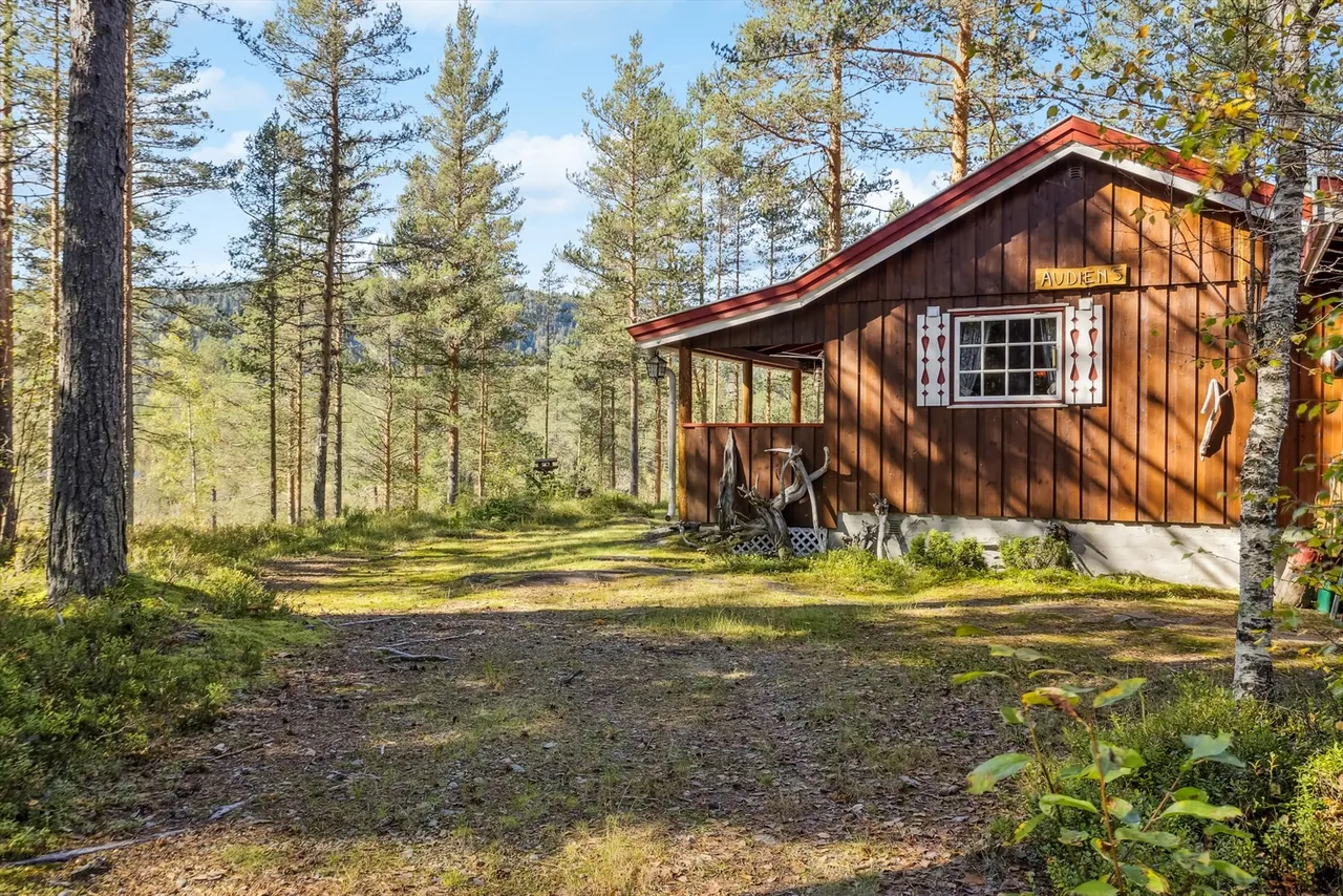 Additional image 3 of Øvre Lona 27, 3624 Lyngdal i Numedal