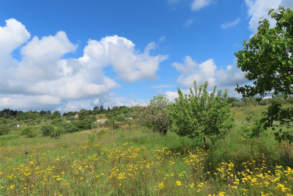 Additional image 2 of Beira Baixa, Penamacor, Portugal