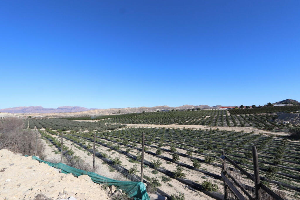 Additional image 3 of Murcia, Cañada De San Pedro, Spain