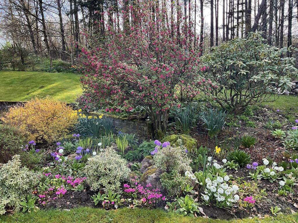 Additional image 30 of Old Road House Buchromb, Dufftown, Keith, AB55 4BN