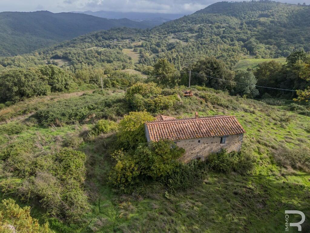 Additional image 3 of Scansano, Grosseto, Tuscany, Italy