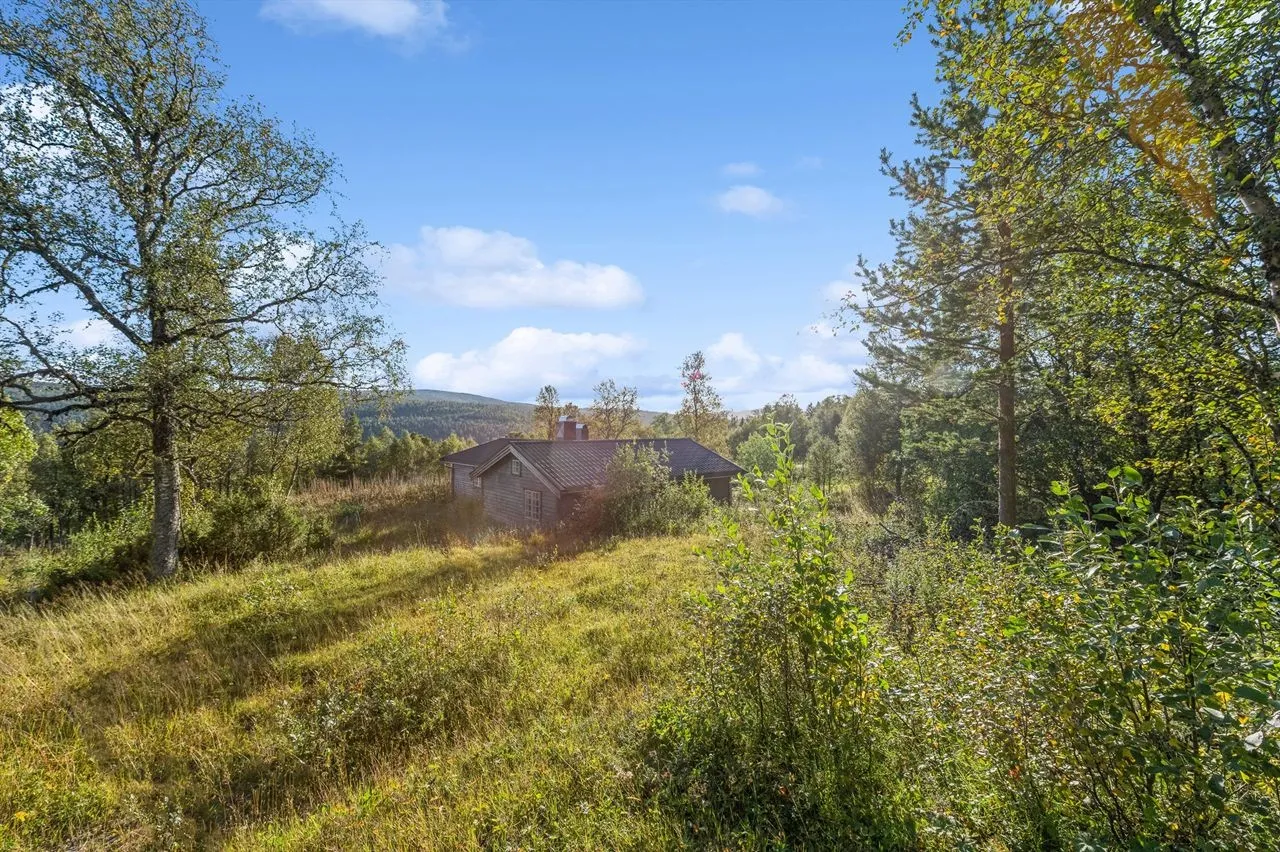 Additional image 2 of Savalveien 723, 2500 Tynset