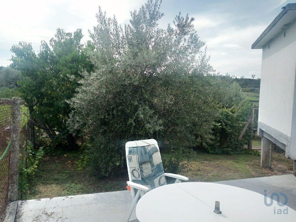 Additional image 3 of Beira Litoral, Tábua, Portugal