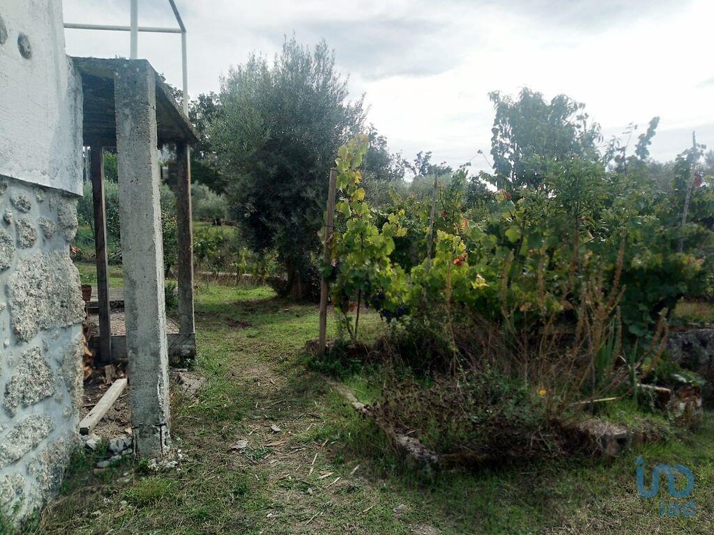 Additional image 2 of Beira Litoral, Tábua, Portugal