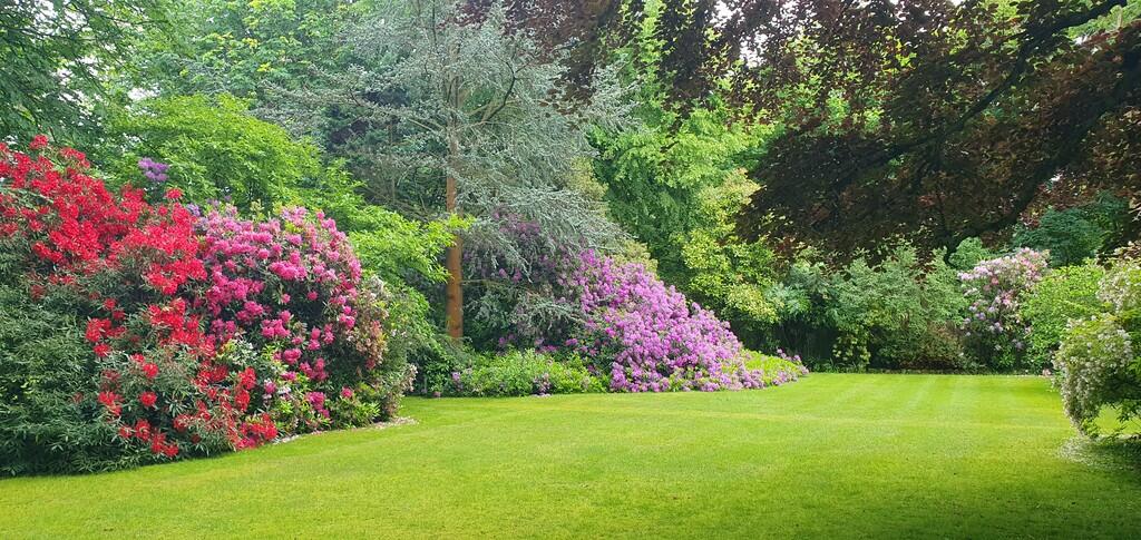 Additional image 28 of Westfield Road, Edgbaston