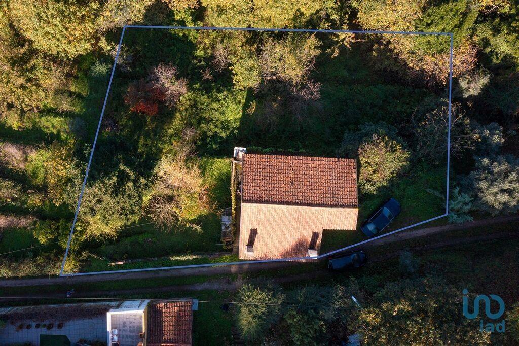 Additional image 3 of Beira Litoral, Serpins, Portugal