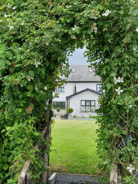 Additional image 3 of Liselican, Borris, Borris, Ireland