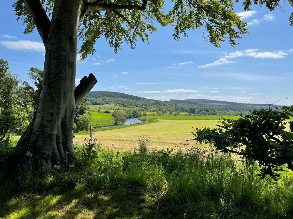 Additional image 17 of Coniecleugh Farm, Huntly, Aberdeenshire, AB54 4SL