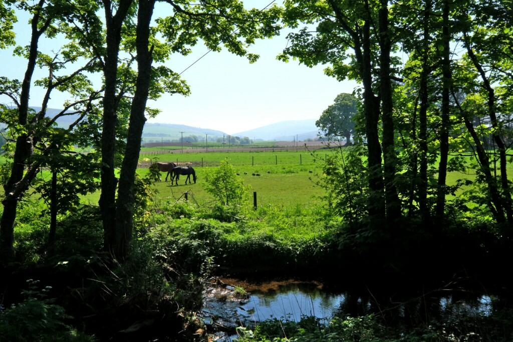 Additional image 6 of (Lot 1) Newmill, Lumsden, AB54 4LB