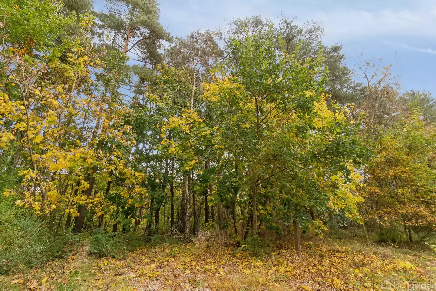 Additional image 2 of Koglevej 6, 8410 Rønde, Denmark
