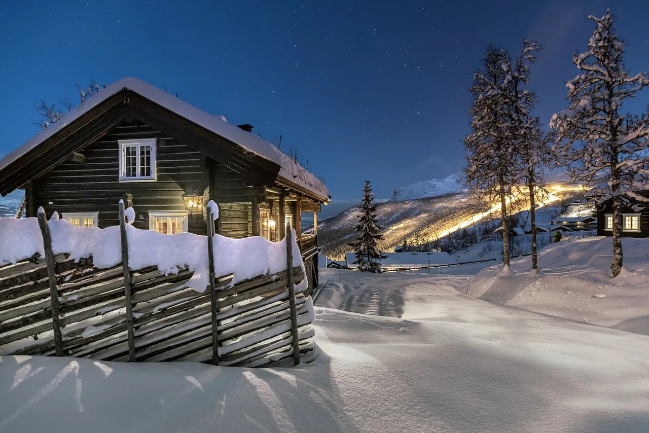 Additional image 2 of Sjåstadleine 76B, 3560 Hemsedal