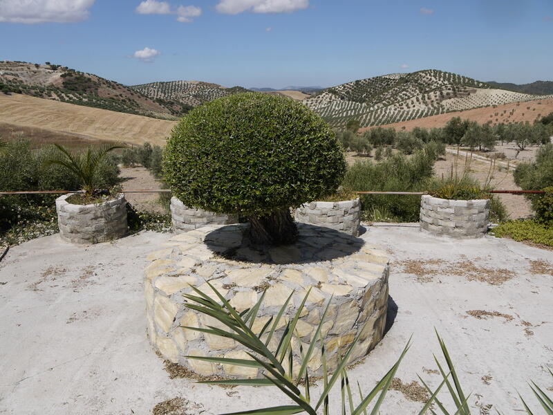 Additional image 2 of Pruna, Andalucia, Spain