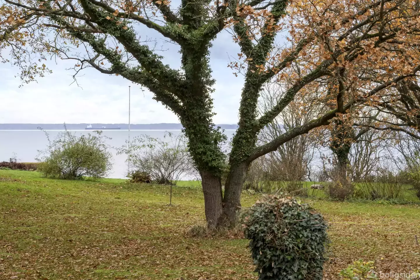 Additional image 2 of Grævlingevænget 3, 5466 Asperup