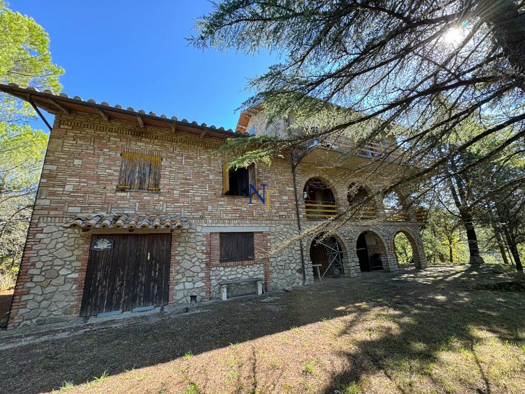 Additional image 2 of San Venanzo, Terni, Umbria, Italy