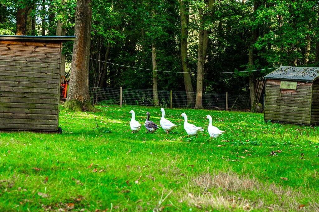 Additional image 24 of Pottersheath Road, Welwyn, Hertfordshire